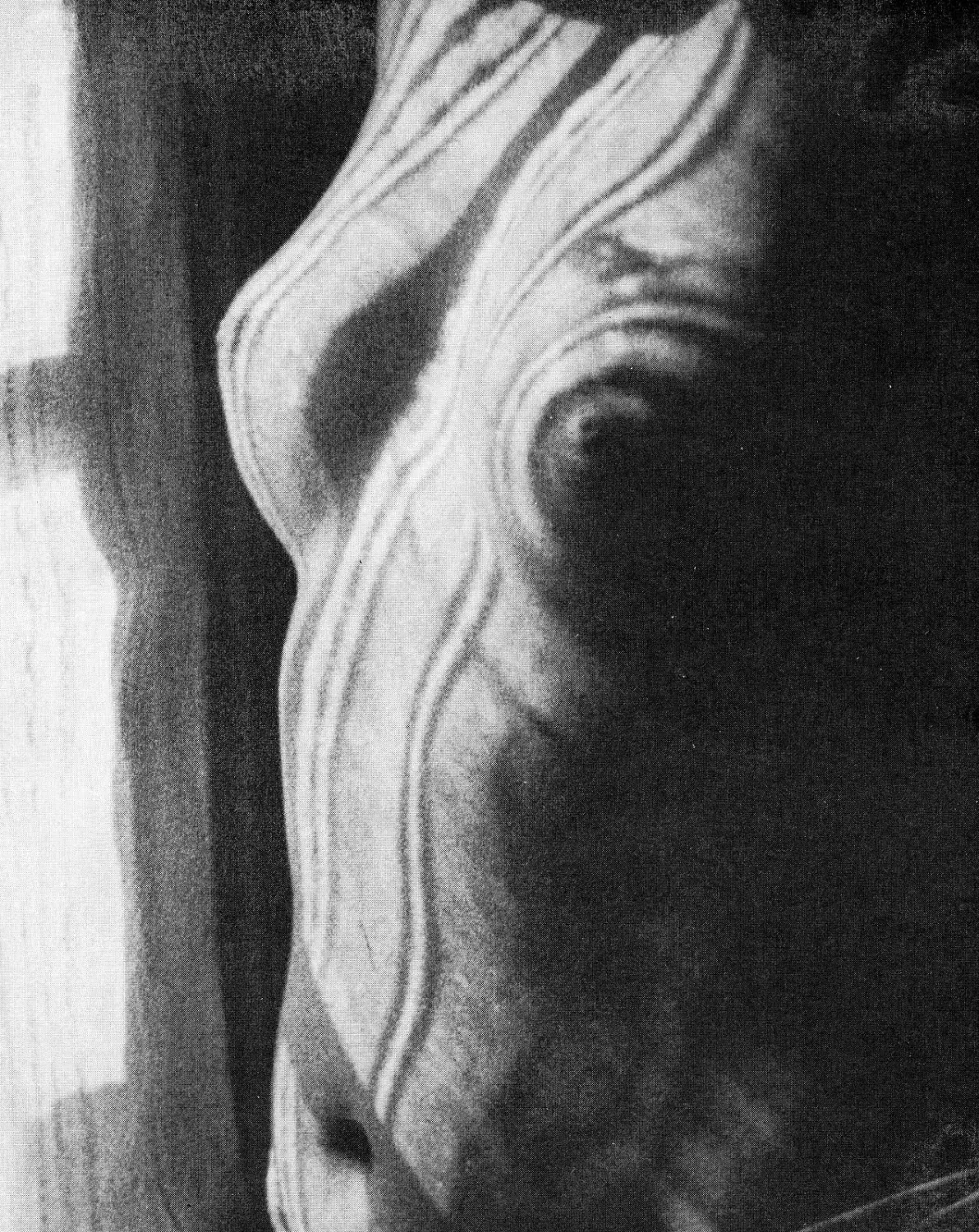 Fractal Geometry And The Human Body Chaos Theory In Nude Art Nude