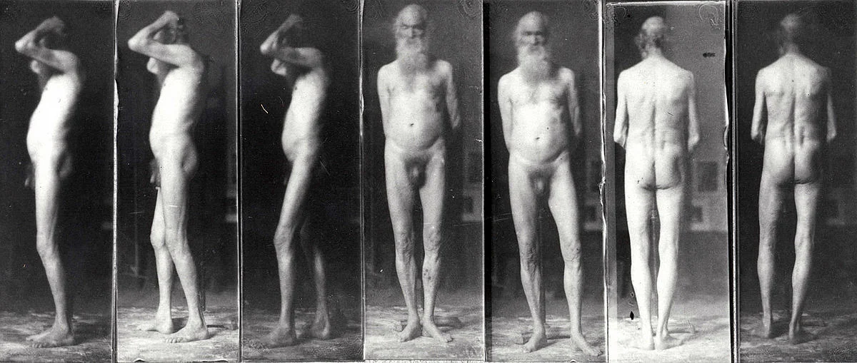 Eine Serie von Bewegungsstudien von Thomas Eakins, die eine nackte Figur in verschiedenen Stadien der Bewegung zeigt.