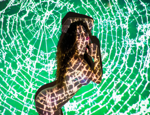 La géométrie fractale et le corps humain : La théorie du chaos dans l'art du nu